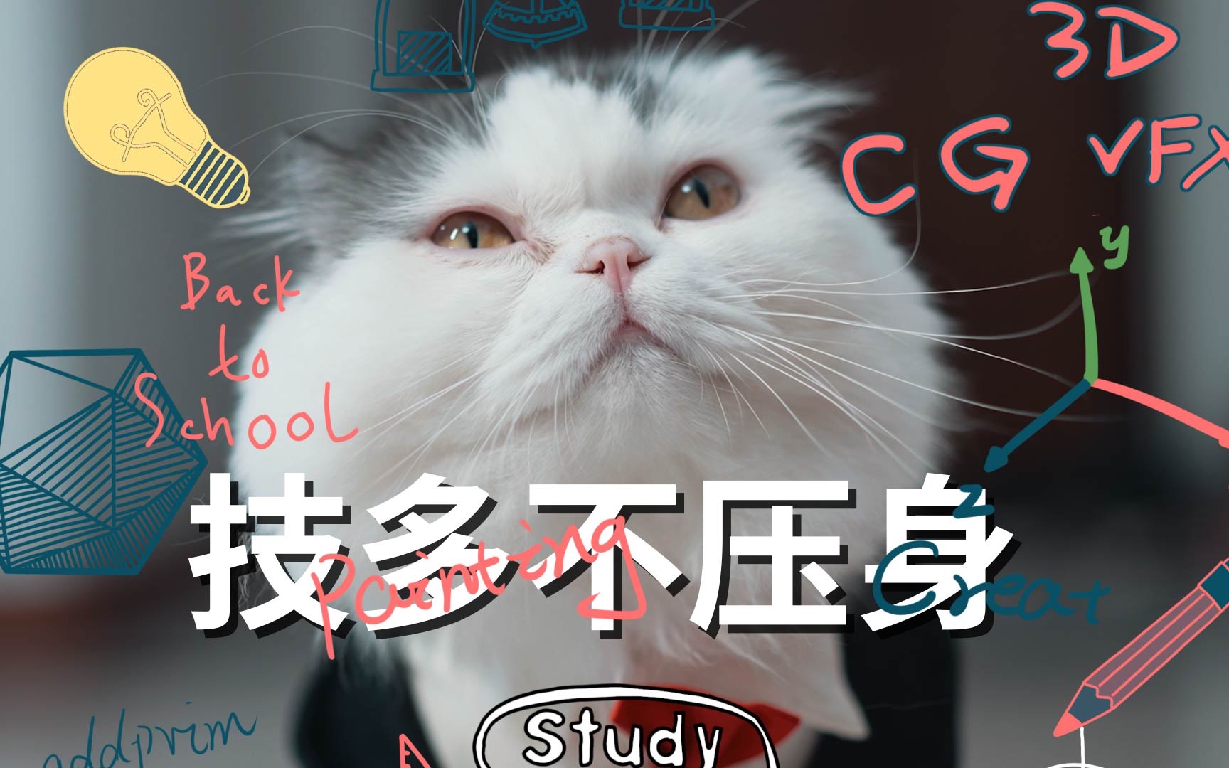 猫在努力,人在躺平!哔哩哔哩bilibili