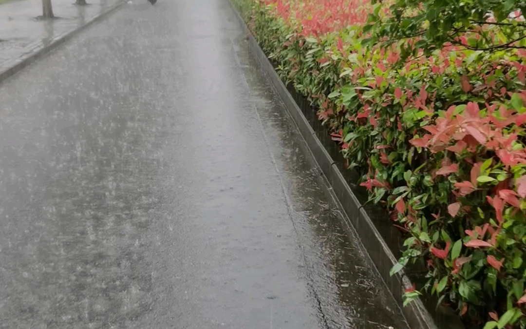 雨天,我在压马路,你在学校没?