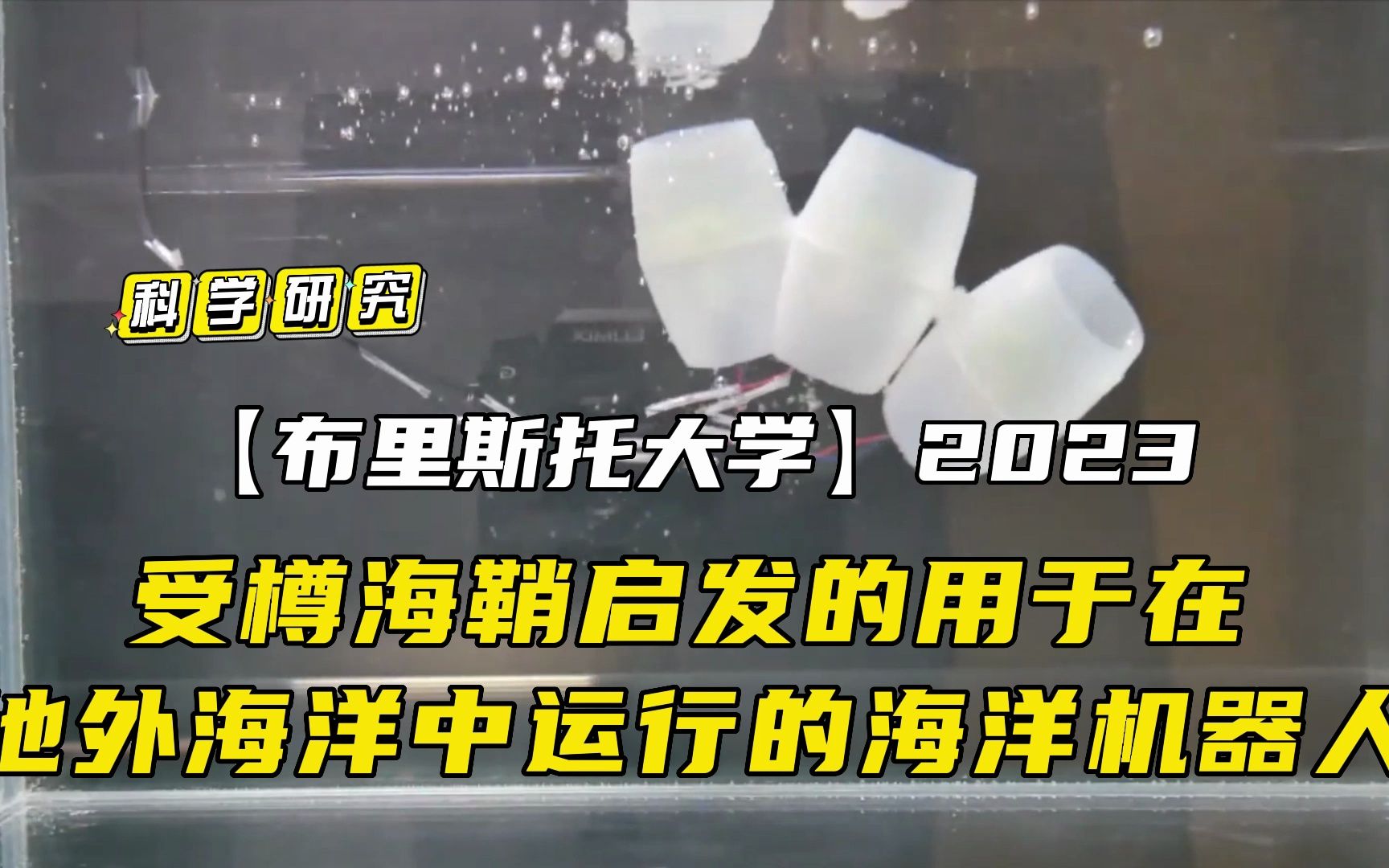 受樽海鞘启发的用于在地外海洋中运行的海洋机器人【布里斯托大学】2023哔哩哔哩bilibili