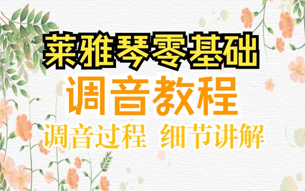 莱雅琴调音教程 细节讲解 莱雅琴零基础教程(一)哔哩哔哩bilibili