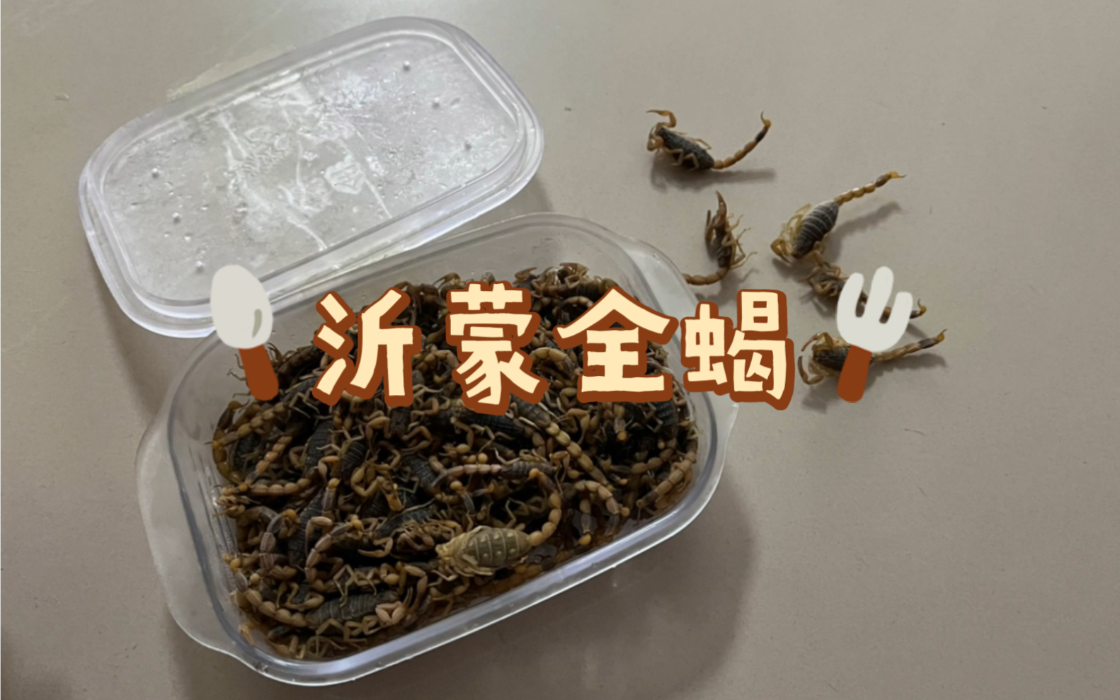 沂蒙全蝎!!!活蝎子直接冻住!干饭人的美食记录哔哩哔哩bilibili