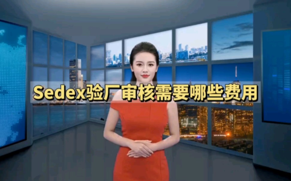 Sedex验厂审核需要哪些费用?哔哩哔哩bilibili