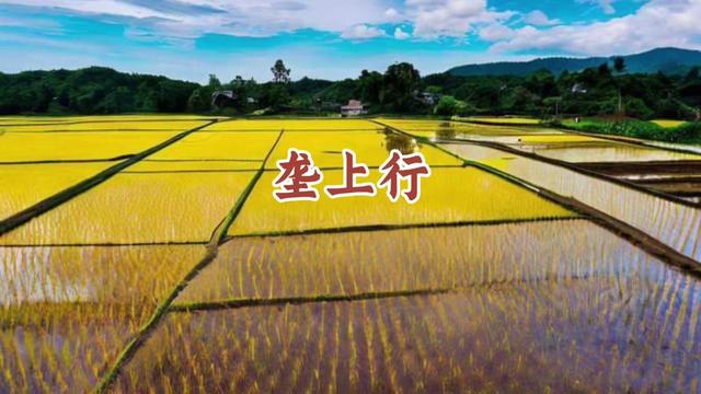垄上行是什么意思  第1张