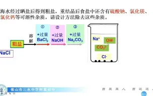 Download Video: 初三化学总复习系列精品微课(三十一)粗盐的苦恼——粗盐中可溶性杂质的去除