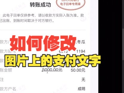 如何修改图片上的文字金额哔哩哔哩bilibili