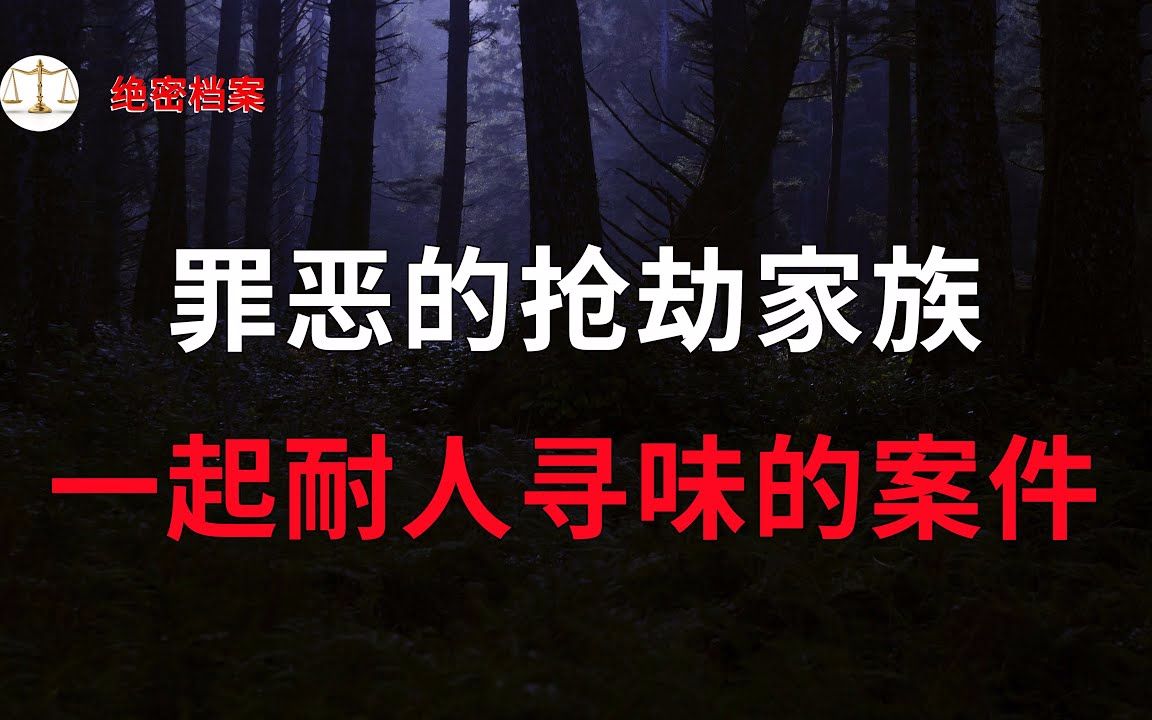 一起耐人寻味的案件  大案要案纪实录  绝密档案哔哩哔哩bilibili