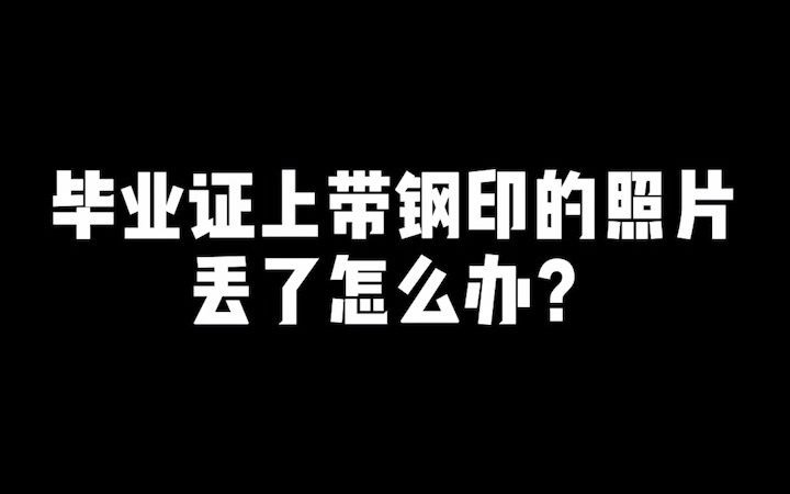 你知道毕业证上带钢印照片丢了应该怎么办吗?哔哩哔哩bilibili