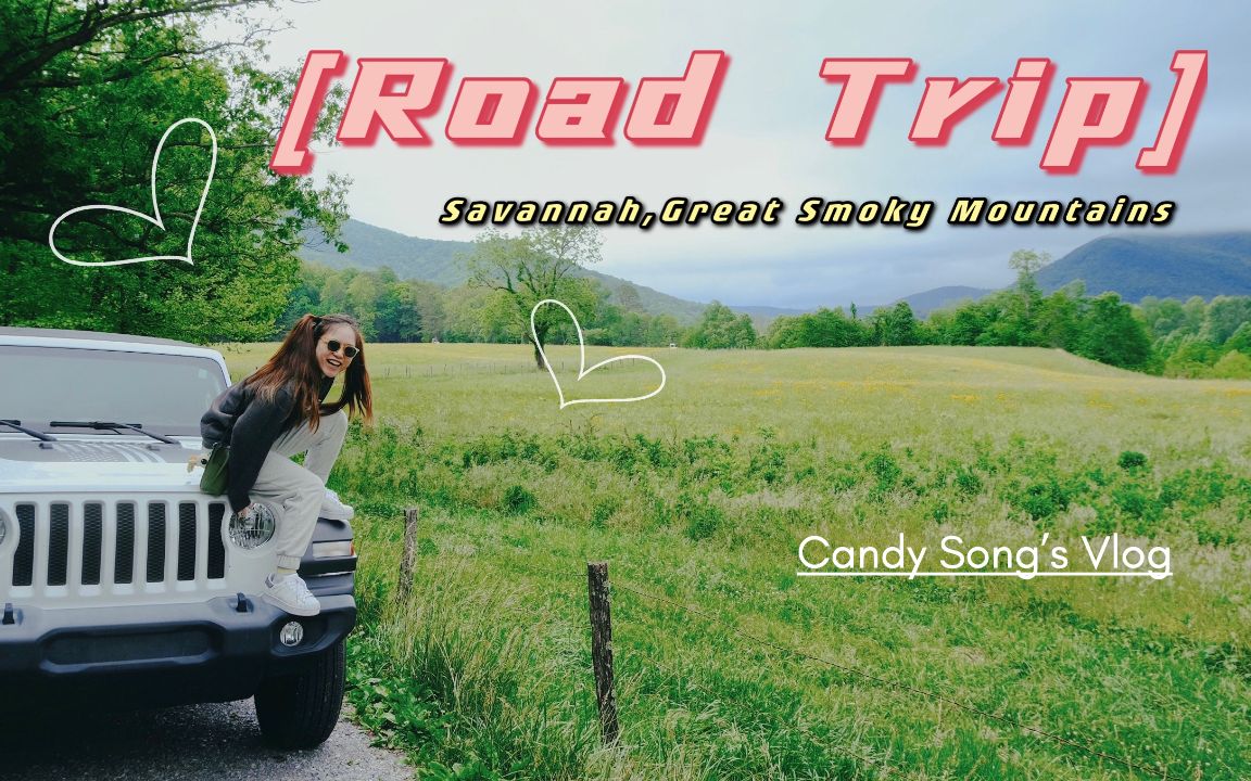 𐟚—「Road Trip」: 萨凡纳,大雾山国家公园,佛罗里达|Vlog哔哩哔哩bilibili