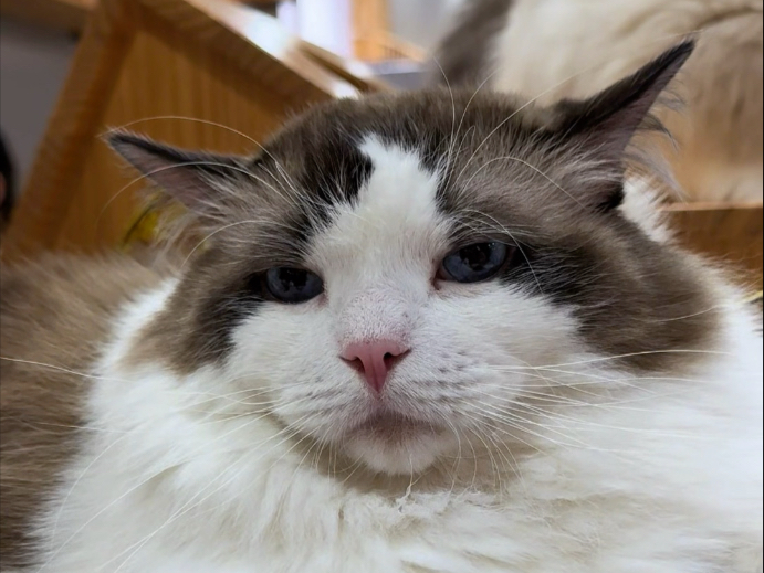 《开个小店真挺难的》