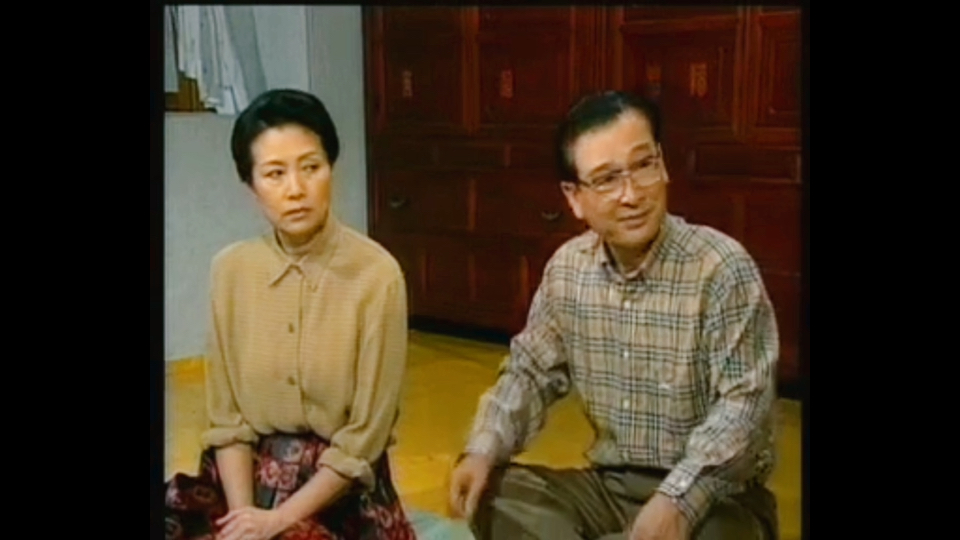 看了又看国语 220