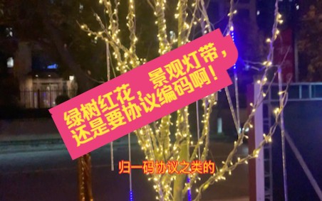 绿树红花,景观灯带,还是要协议编码啊!哔哩哔哩bilibili