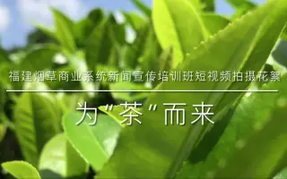 福建烟草商业系统新闻宣传培训班短视频拍摄花絮