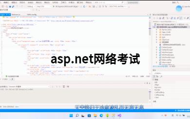 asp.net网络考试哔哩哔哩bilibili