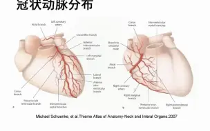 Descargar video: 5.冠脉CTA诊断-放射小讲座系列2