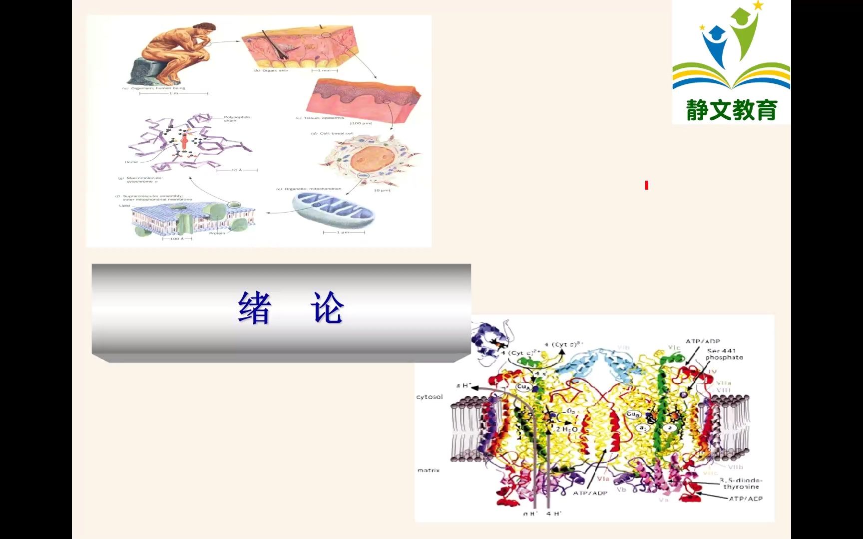 [图]23年黑龙江专升本动物医学动物生物化学第一章