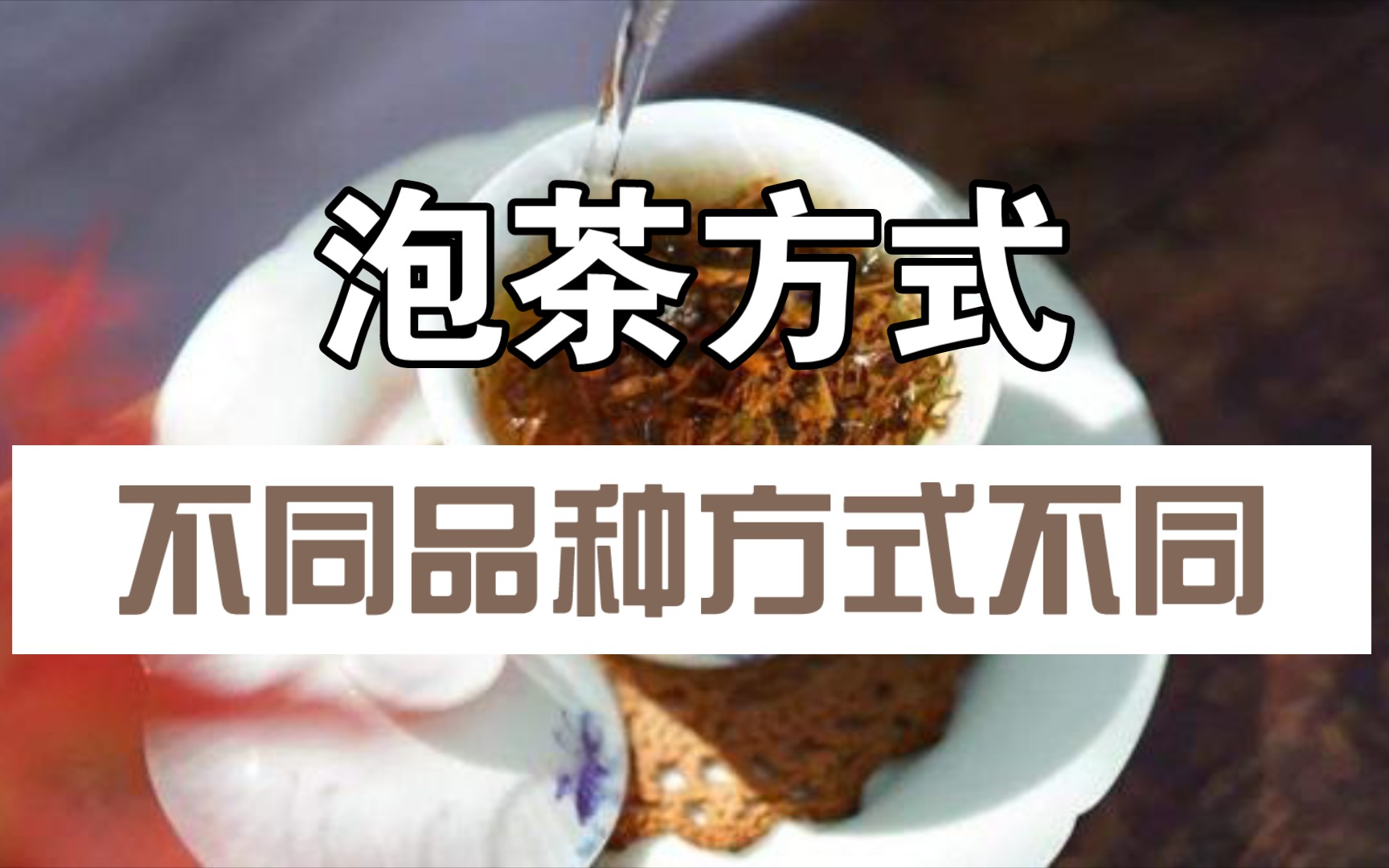 〔茶文化〕快速了解5种泡茶方式!哔哩哔哩bilibili