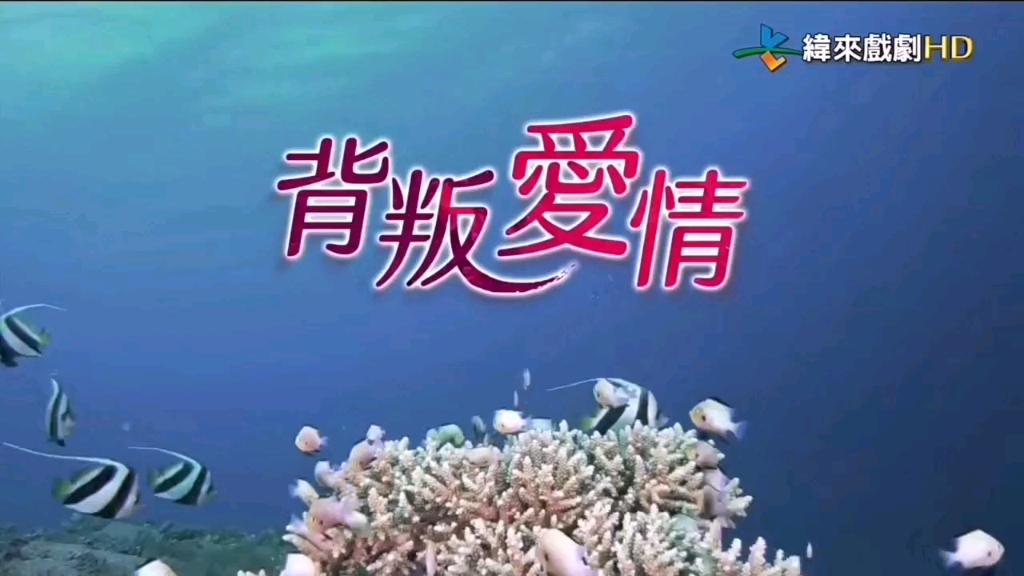 人鱼小姐 背叛爱情 高清国语中字1080P 纬来戏剧台2002韩剧全集精彩片段哔哩哔哩bilibili