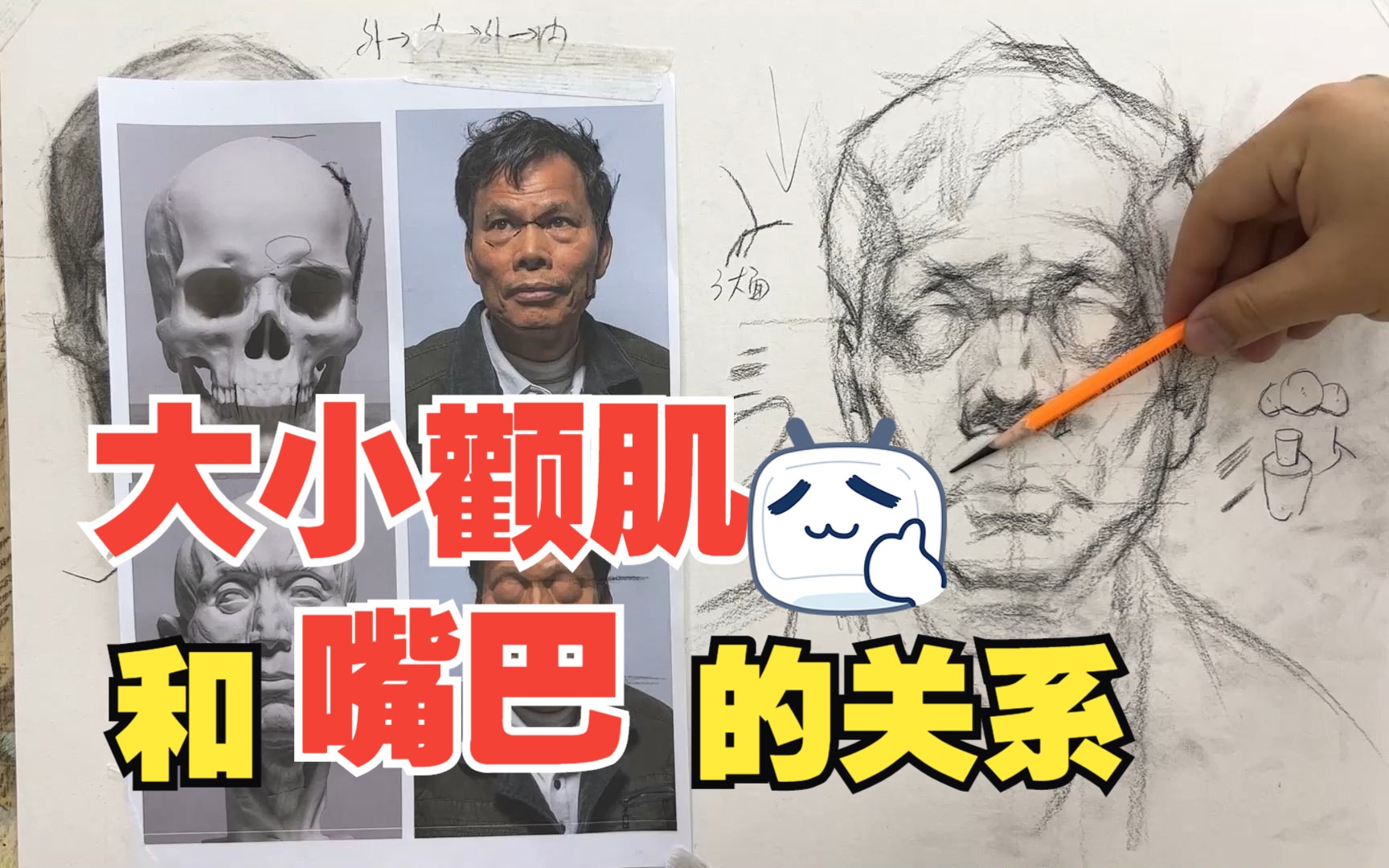 [图]大小颧肌和嘴巴的关系！-正面素描头像结构原理！！