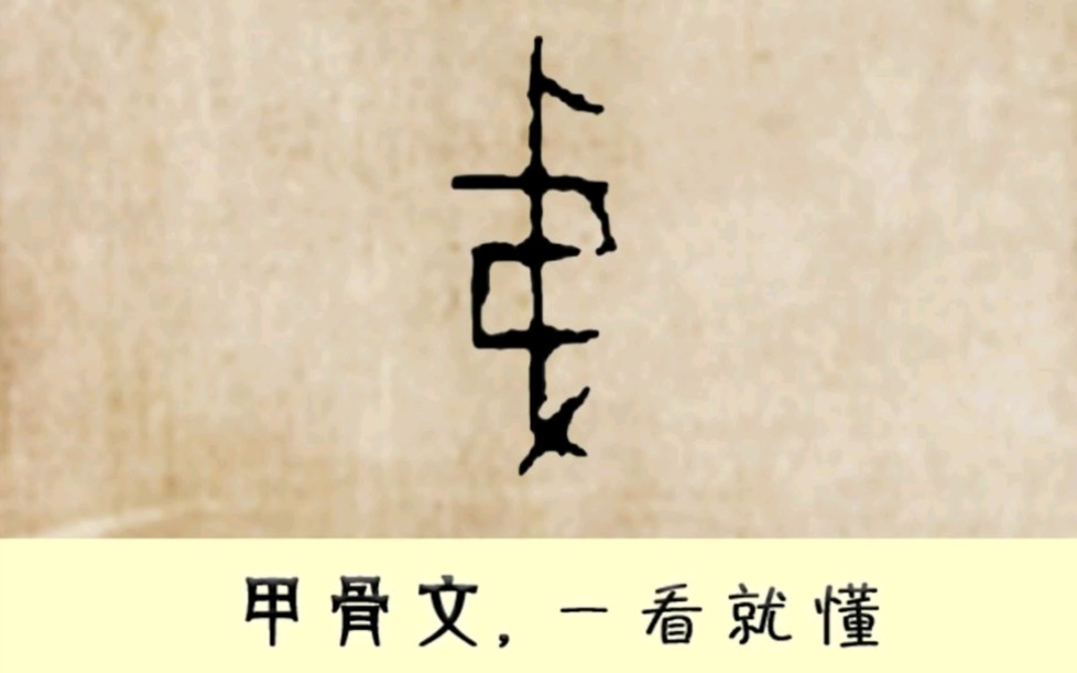 "弟"甲骨文4600多个,每天学习一点点