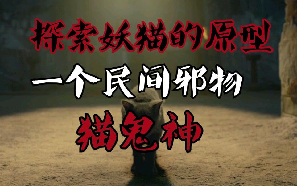 妖猫传的妖猫到底是什么带你探索民间邪物猫鬼神子不语邪物篇第一期