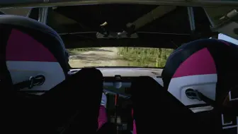 wrc 太好玩啦
