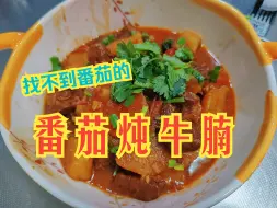 Download Video: 新手下饭菜 | 找不到番茄的番炖牛腩