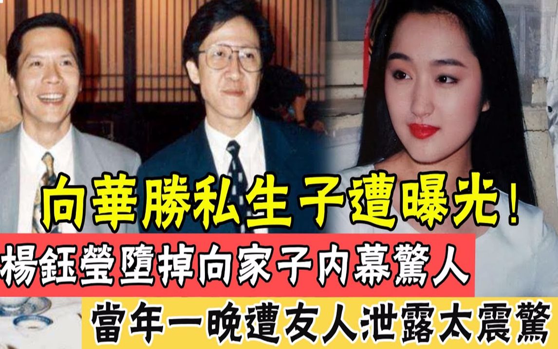 向华胜去世8年私生子曝光!杨钰莹国外流掉向家子内幕惊人,向华胜不知孩子是自己的,当年一晚遭友人泄露太震惊#辣评娱圈哔哩哔哩bilibili