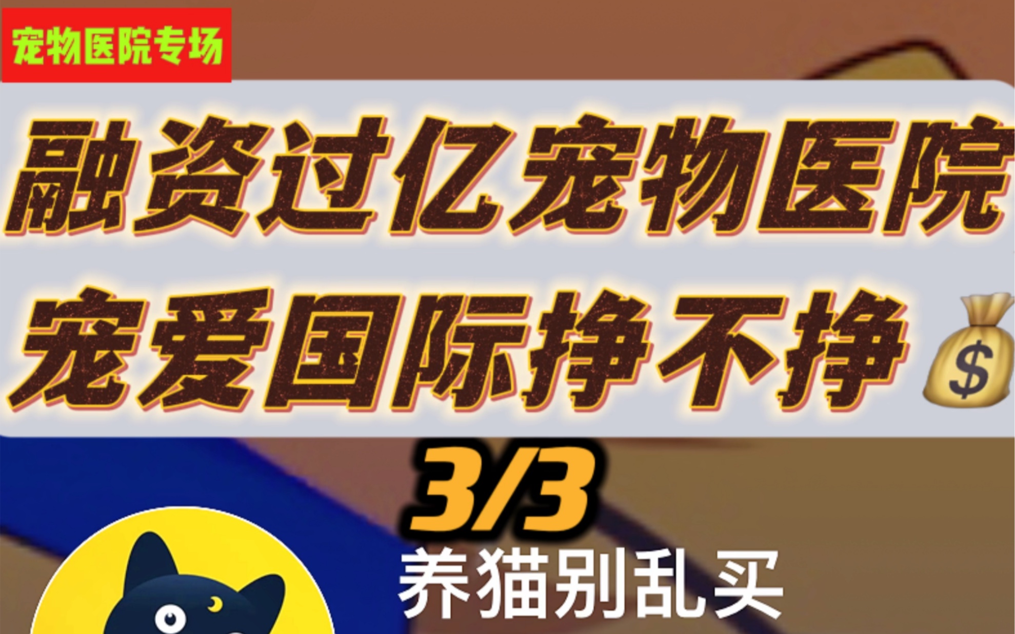 融资过亿宠物医院 挣不挣钱3/3哔哩哔哩bilibili