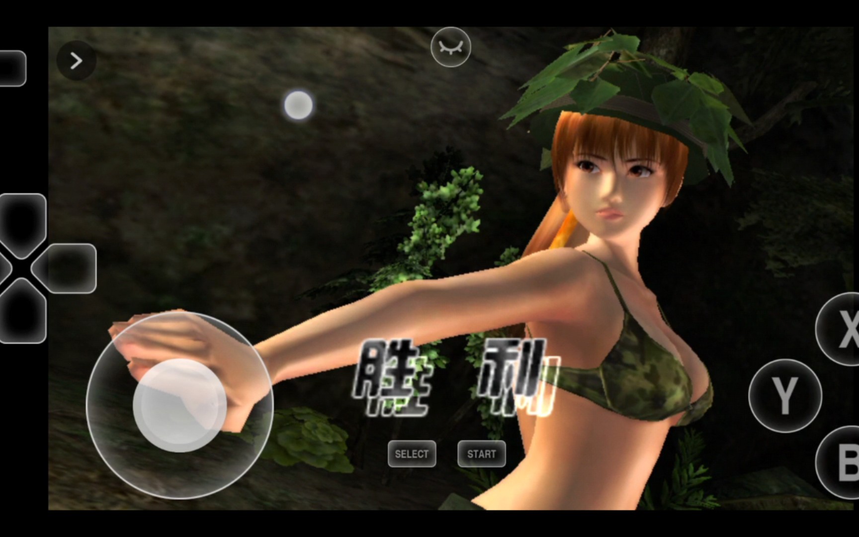 活动作品死或生美女之间的对决霞vs瞳