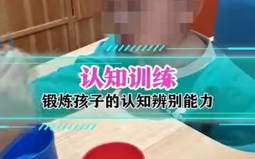 认知训练:锻炼孩子的认知辨别能力哔哩哔哩bilibili