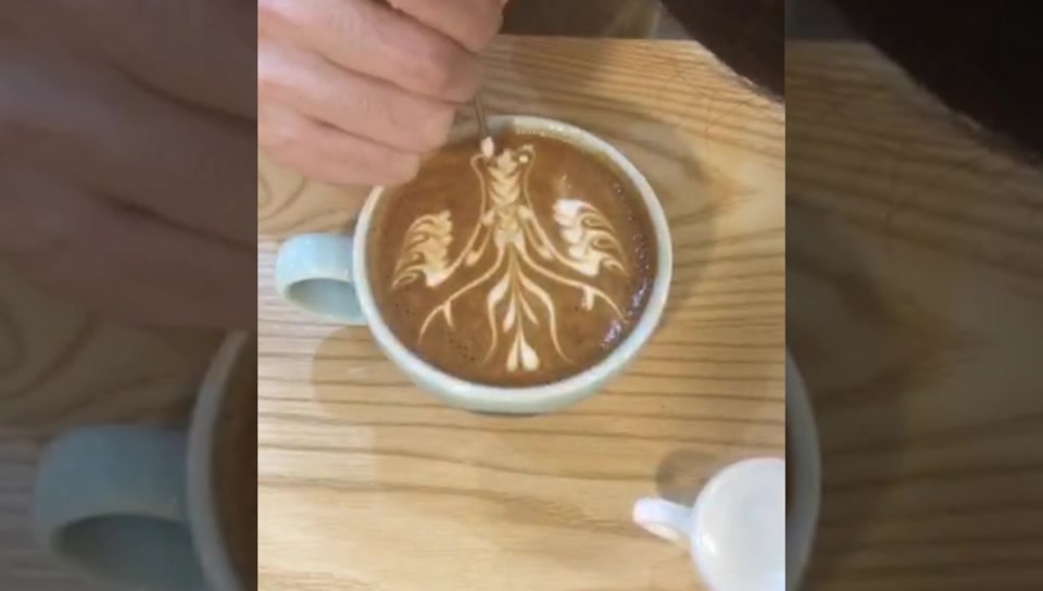 咖啡沙龙丨邓光明 2018 Latte Art 咖啡拉花合集哔哩哔哩bilibili