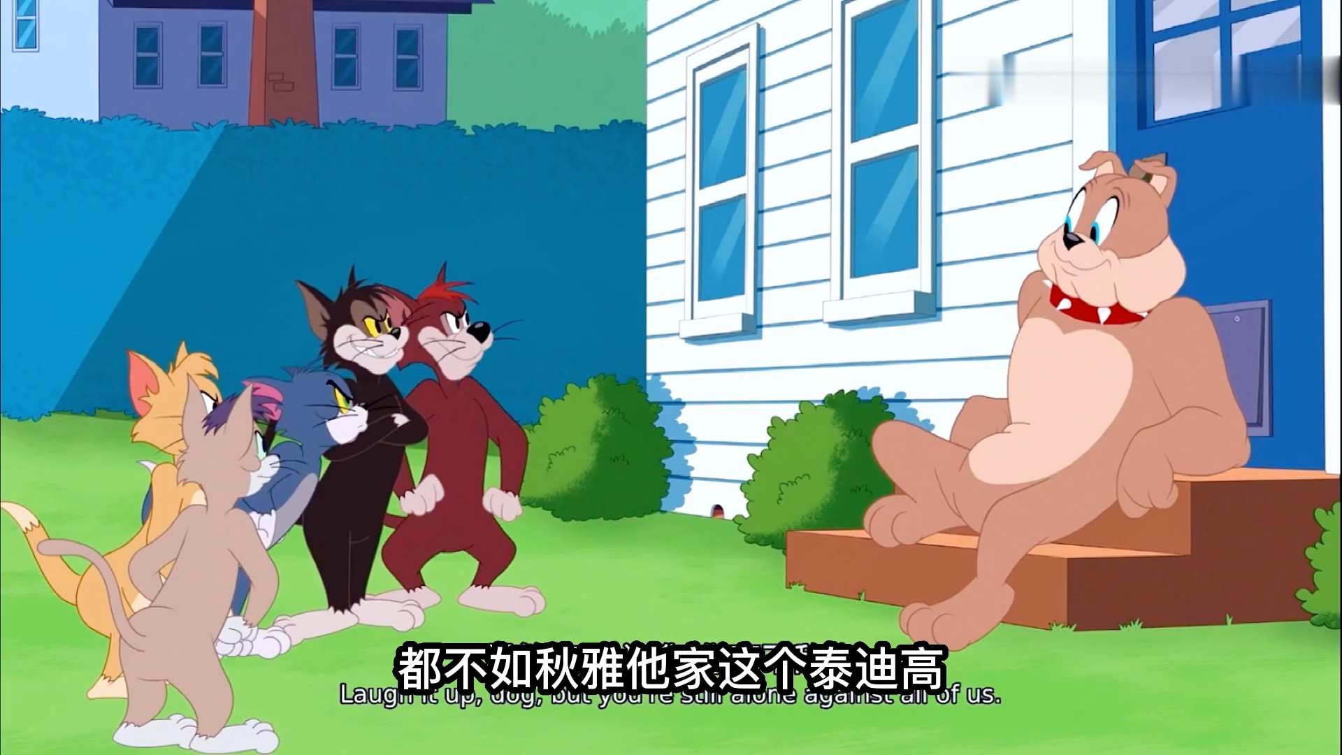 搞笑配音：大表哥登场 再多的猫也只有跑的份 关键时候还得是朋友