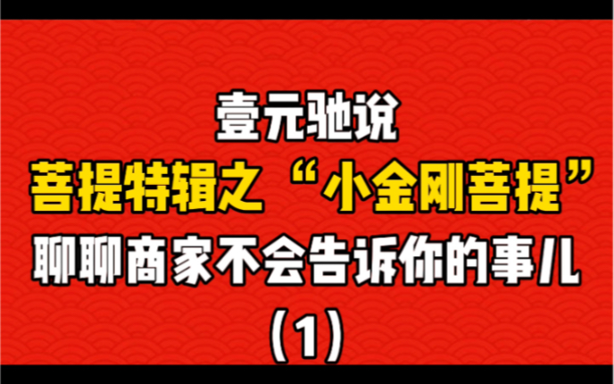 【壹元驰说】通俗易懂“菩提子特辑”之“小金刚菩提”聊聊商家不会告诉你的那些事儿!(壹)哔哩哔哩bilibili