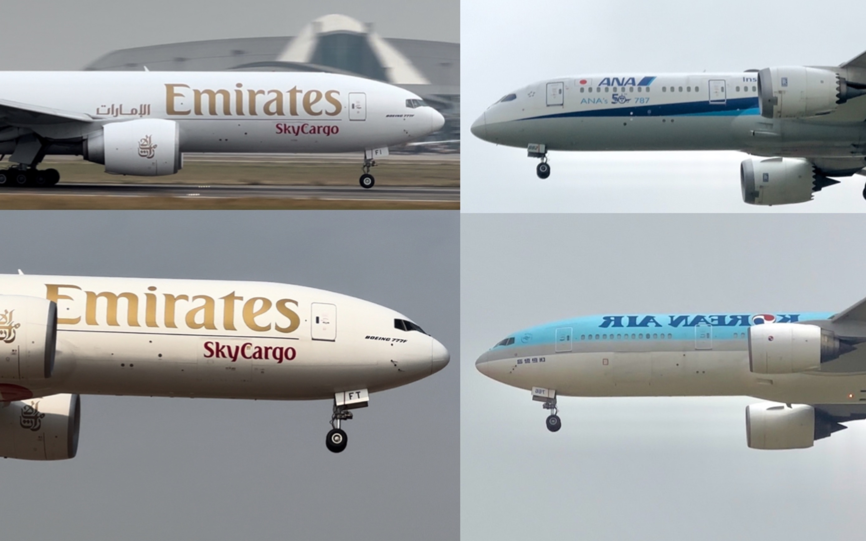 全日空第50架787彩绘,大韩772,阿联酋航空skycargo起降广州白云机场!