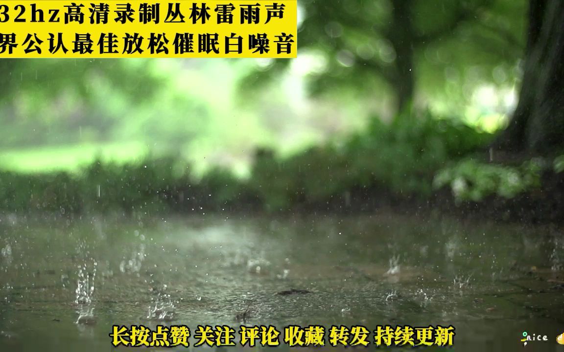 [图]432hz高清录制丛林雷雨声 世界公认最佳放松催眠曲白噪音失眠助眠减压向