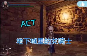 Download Video: 3DACT官方中文新作丨地下城の女騎士 已打去码补丁