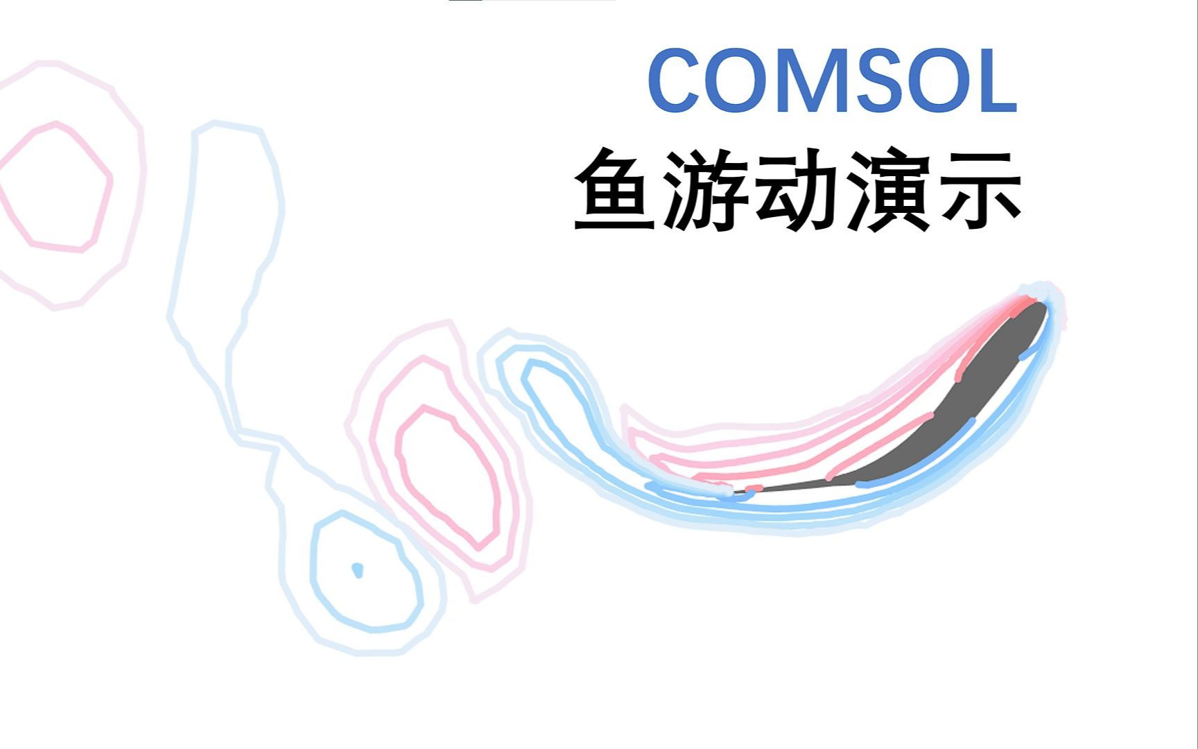 comsol 鱼游动演示