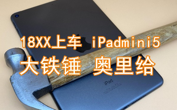 【垃圾佬】18XX上车iPadmini5开箱翻车奥里给哔哩哔哩bilibili