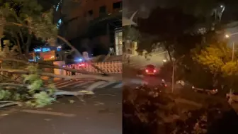 Download Video: 实拍北京9级大风：树被风吹倒 个别建筑出现停电 大风黄色预警中