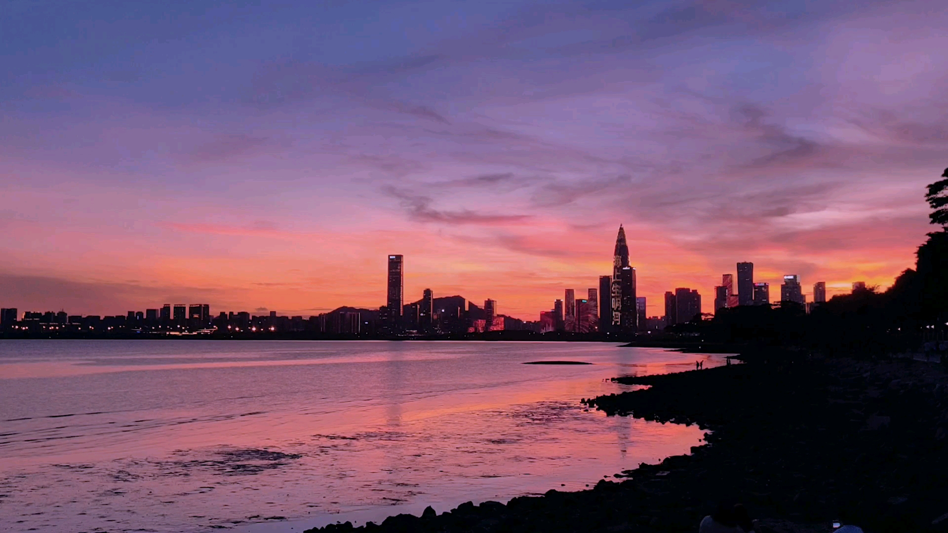 和我去深圳湾公园看夕阳吧