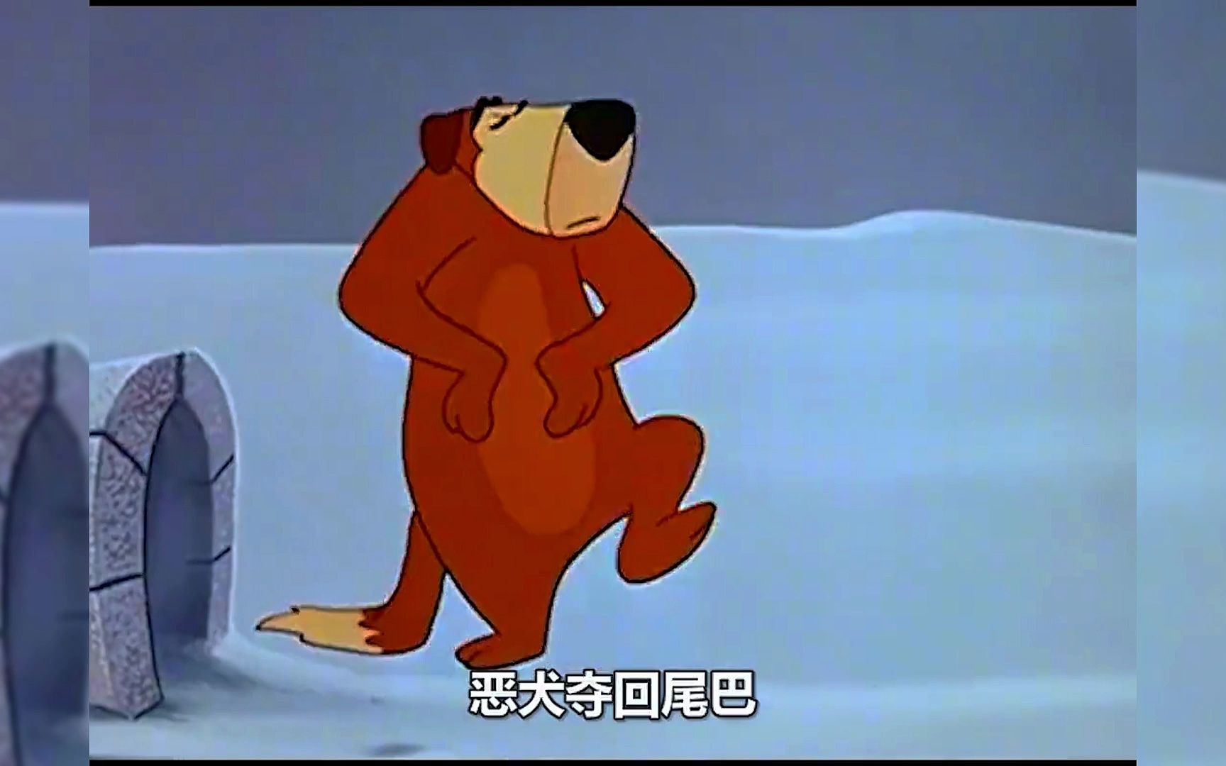 这只企鹅因为太怕冷,竟用大狗的尾巴做成毛皮大衣