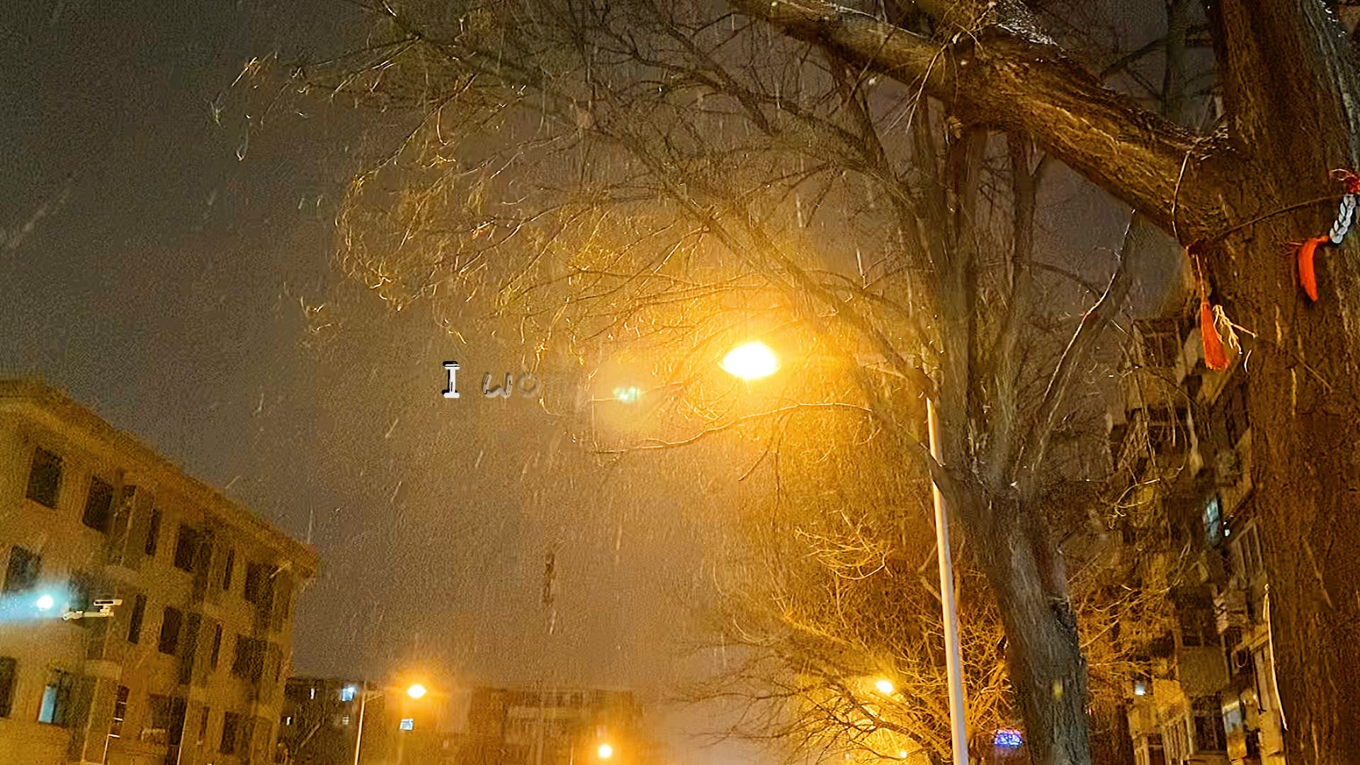 路灯下,雪纷纷 目之所及,皆是过往