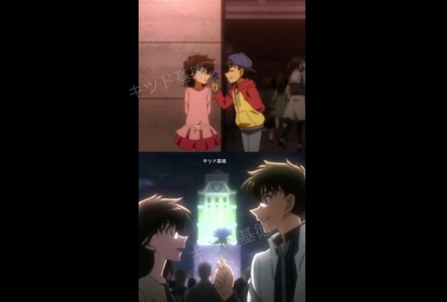 快青 基德的蓝玫瑰只给青子 我怎么可能会忘呢 笨蛋