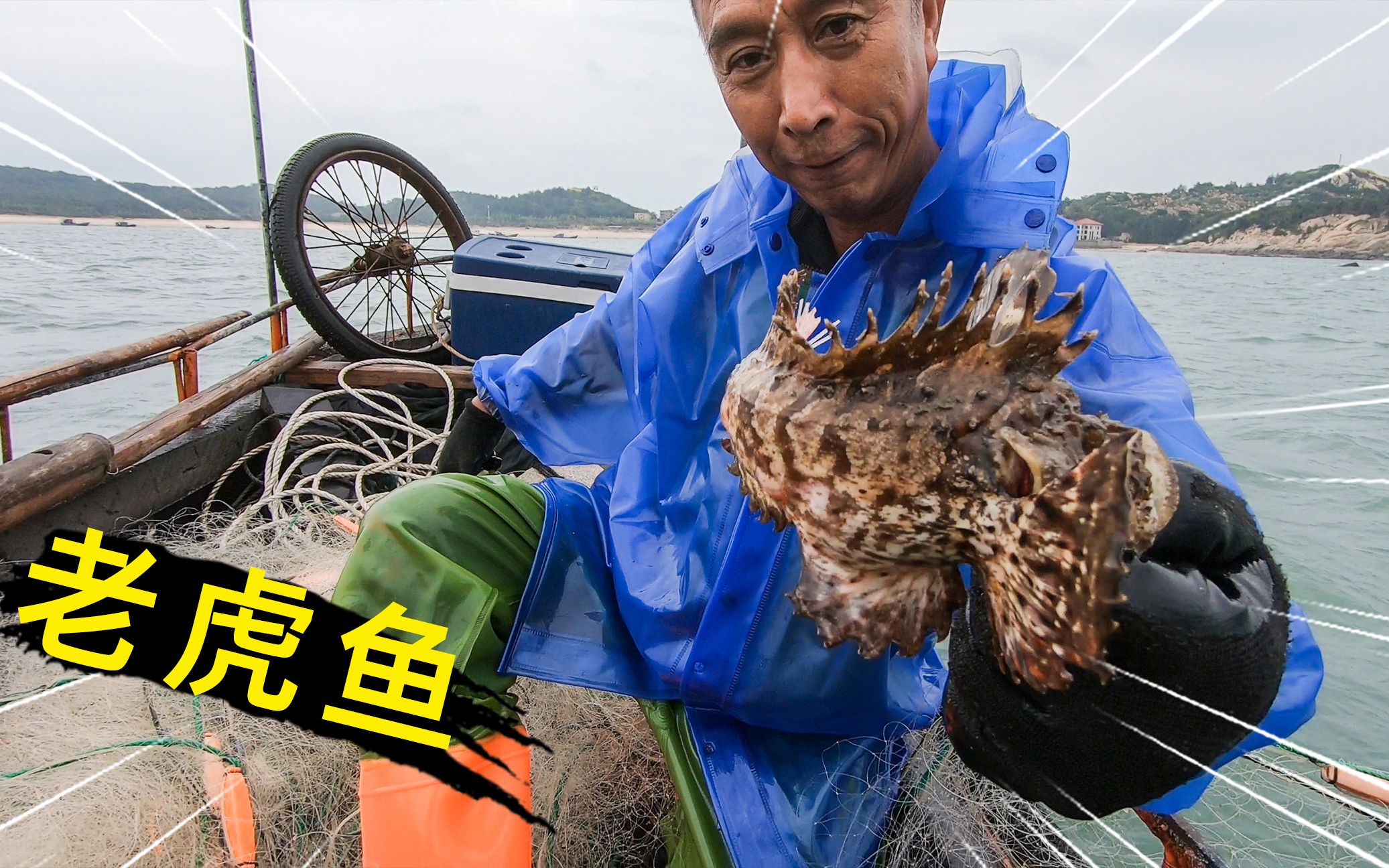 风雨天海货多了不少,第一网就捕到老虎鱼,老魏今天是要大丰收了哔哩哔哩bilibili