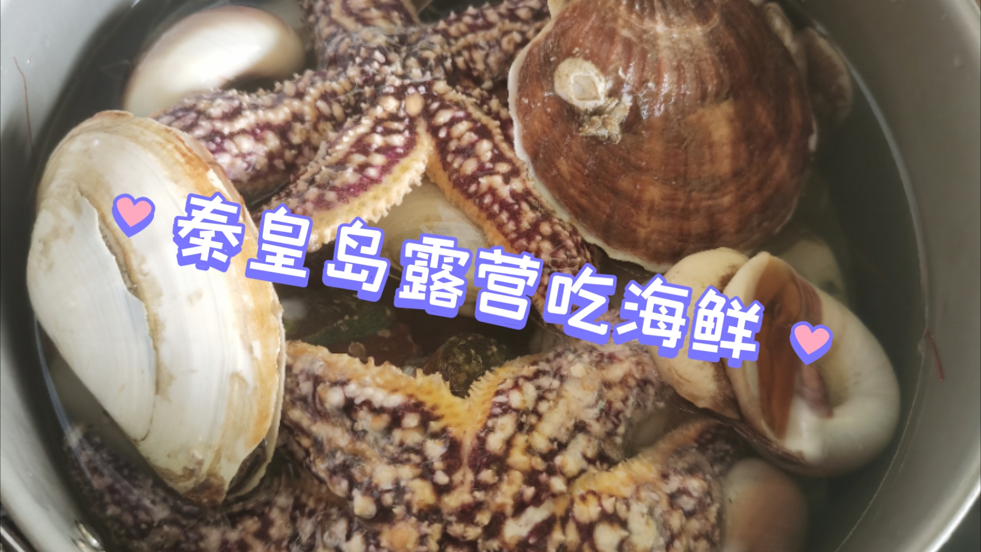 秦皇岛露营吃海鲜