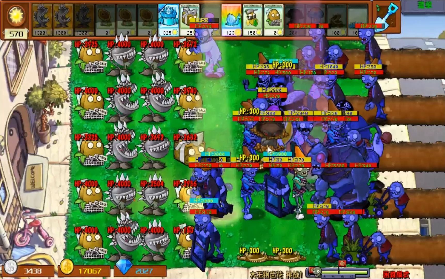 杂交版 大王花1