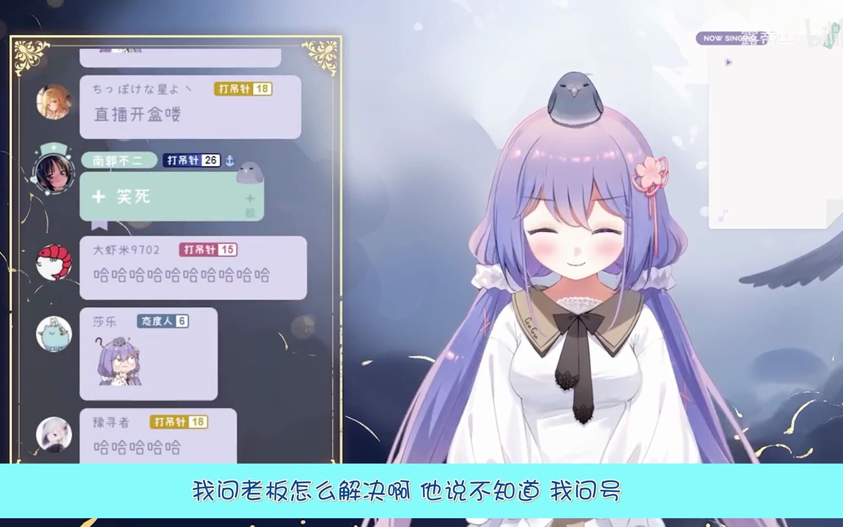 【鸽鸽】幸灾乐祸哔哩哔哩bilibili