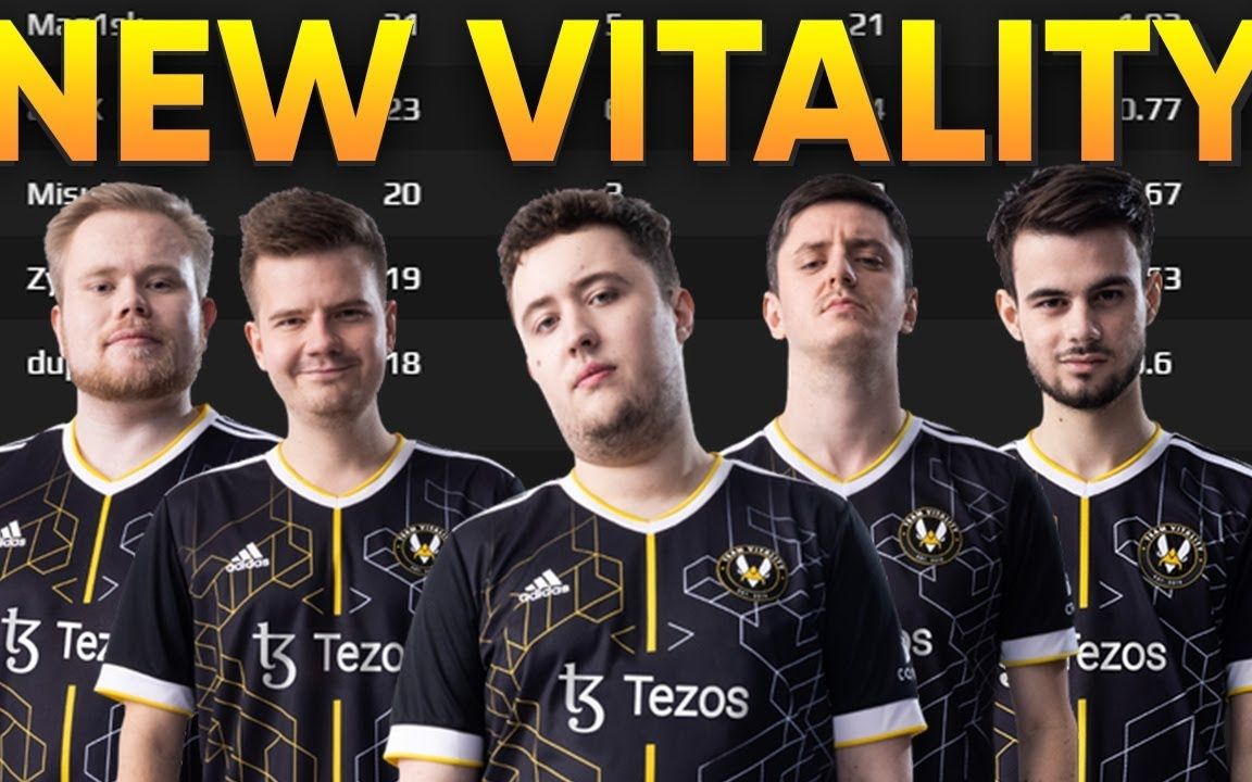 team vitality图片