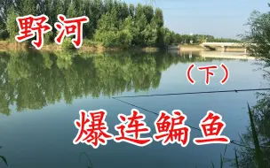 Download Video: 找到藏鱼的钓点儿 开局就是一波连杆鳊鱼（下）