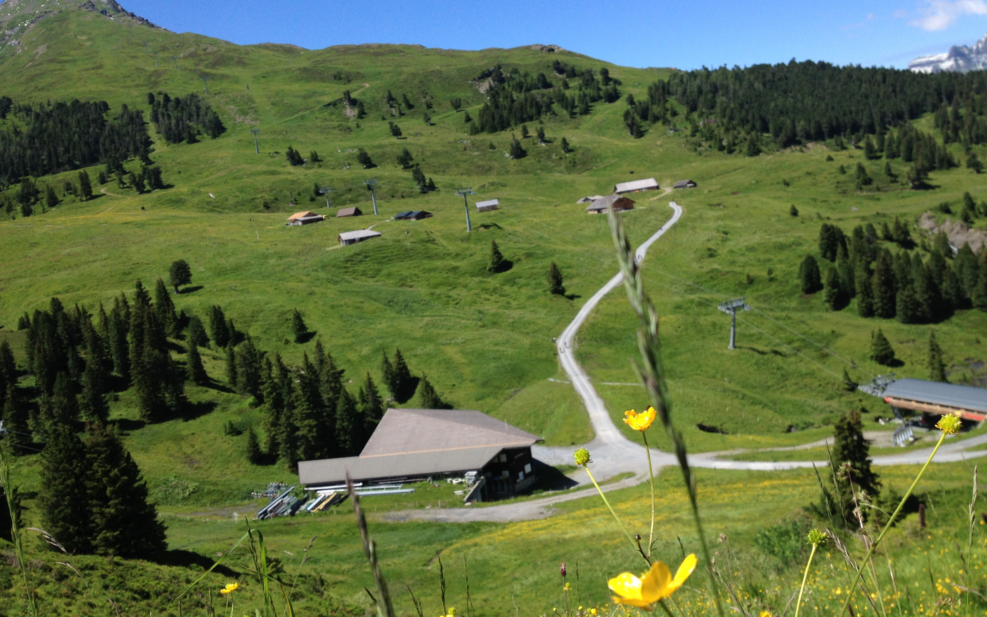 活动  海蒂家乡的瑞士雪山牧场